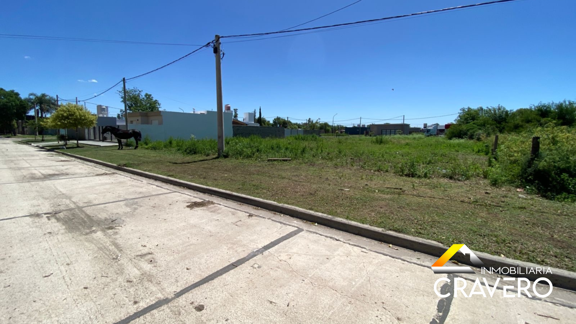 IMAGENES WEB.zip - 1